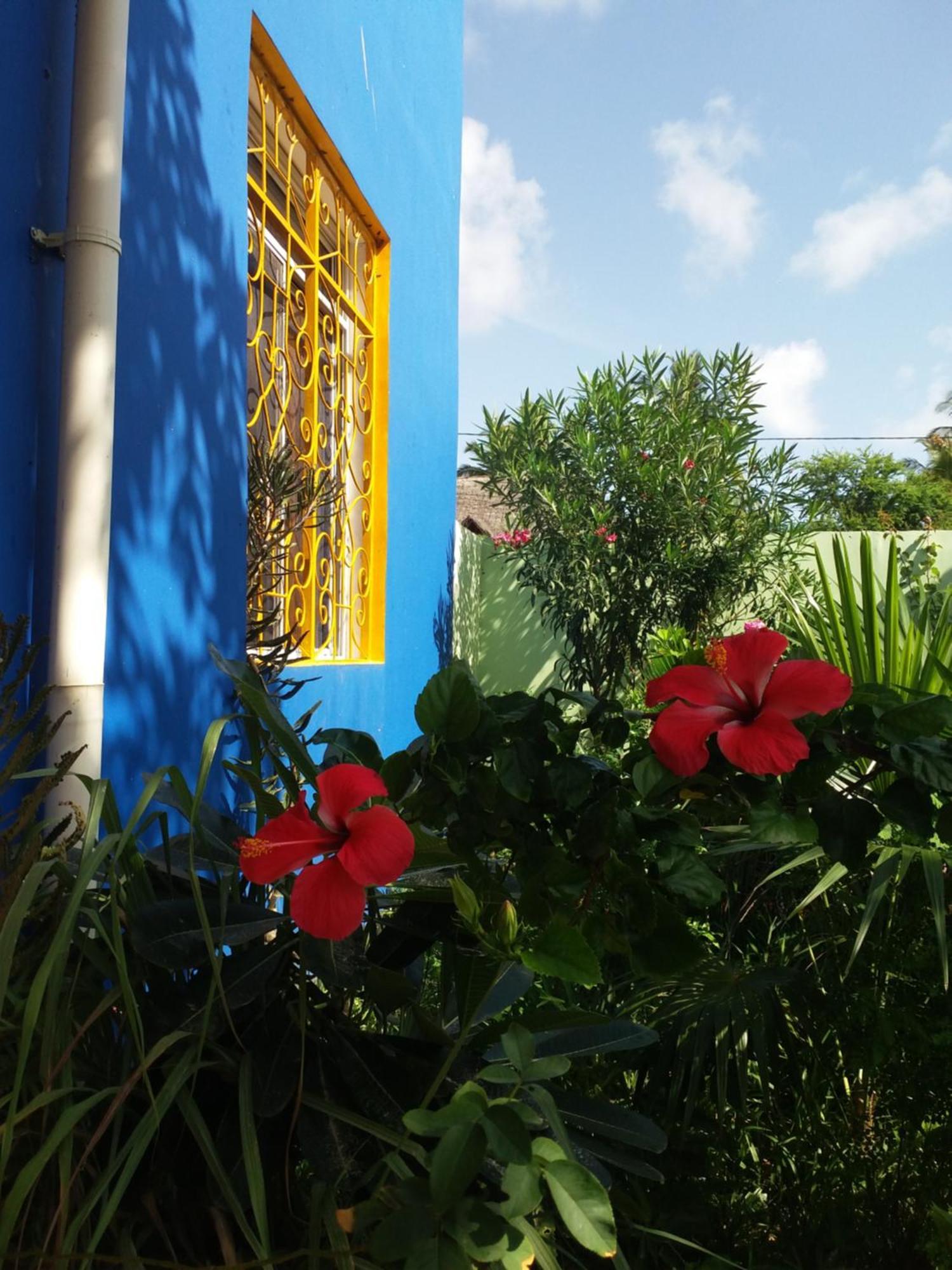 La Locanda Lodge - Apartment, 4 Double Rooms & Kitchen Near The Beach Jambiani  Exteriör bild